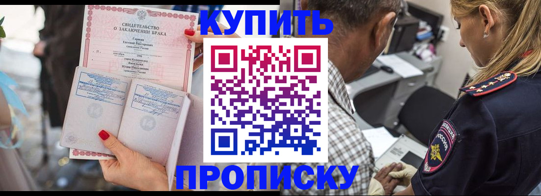 прописка законно в Фрязино